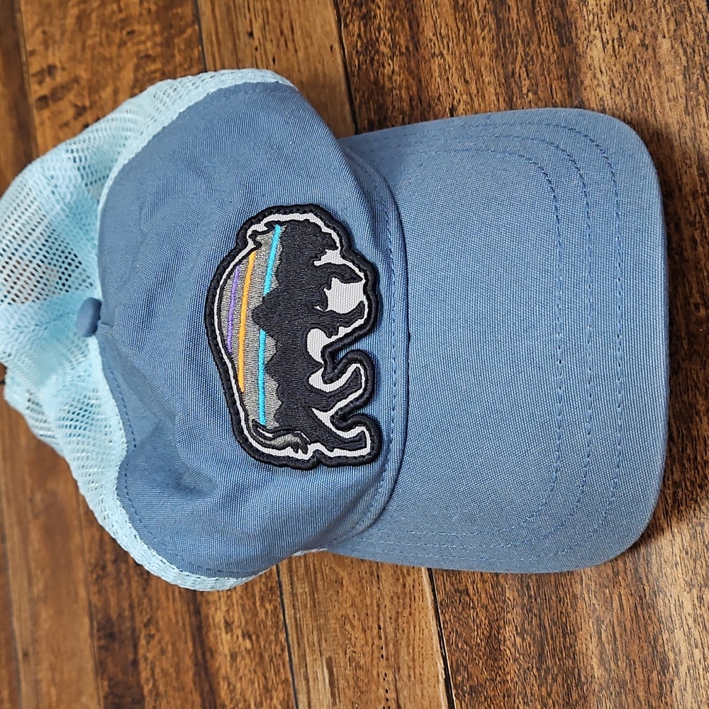 Patagonia Women's Cap